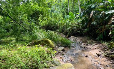 HERMOSA CASA CAMAPESTRE EN MEDIO DE LA NATURALEZA