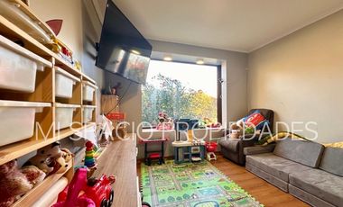 Camino Carampangue - Colegio Trebulco