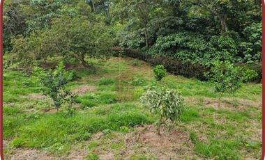 SILVANIA CUNDINAMARCA HERMOSA FINCA