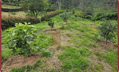 SILVANIA CUNDINAMARCA HERMOSA FINCA