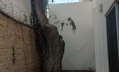 Casa en Renta en Punta del Este, una de las zonas con más plusvalía de León, Gto.