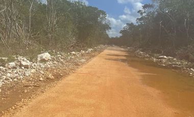 Terreno Rustico en Haciendas Celestun, 28 minutos de la playa