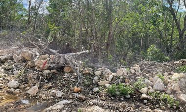 Terreno Rustico en Haciendas Celestun, 28 minutos de la playa