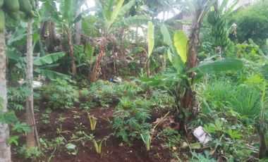 7,5 Tumbak Tanah Kebun Datar Masuk Gang Siap Bangun, Randukurung, Pakuhaji, Ngamprah, Bandung Barat