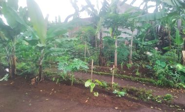 7,5 Tumbak Tanah Kebun Datar Masuk Gang Siap Bangun, Randukurung, Pakuhaji, Ngamprah, Bandung Barat