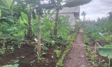 7,5 Tumbak Tanah Kebun Datar Masuk Gang Siap Bangun, Randukurung, Pakuhaji, Ngamprah, Bandung Barat