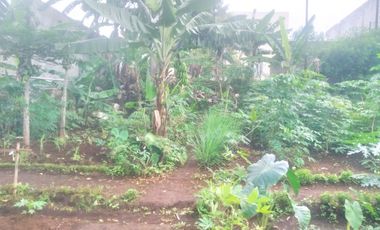 7,5 Tumbak Tanah Kebun Datar Masuk Gang Siap Bangun, Randukurung, Pakuhaji, Ngamprah, Bandung Barat