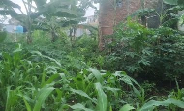 7,5 Tumbak Tanah Kebun Datar Masuk Gang Siap Bangun, Randukurung, Pakuhaji, Ngamprah, Bandung Barat