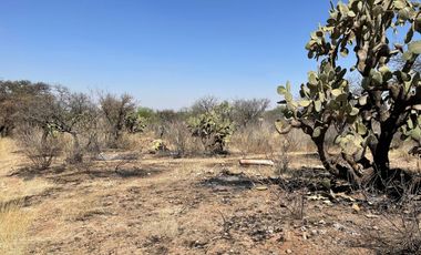 Terreno en Venta – El Loretito, San Francisco de Los Romo, Ags (GILDA)