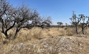 Terreno en Venta – El Loretito, San Francisco de Los Romo, Ags (GILDA)