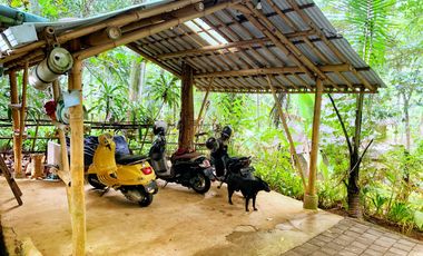 Private 800 sqm Bamboo Villa with River Views in Central Ubud for Sale Leasehold