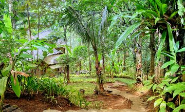 Private 800 sqm Bamboo Villa with River Views in Central Ubud for Sale Leasehold
