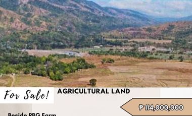 FOR SALE Agricultural Land located at Brgy. Pungan Carangalan, Nueva Ecija
