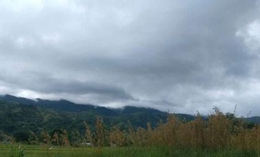 FOR SALE Agricultural Land located at Brgy. Pungan Carangalan, Nueva Ecija