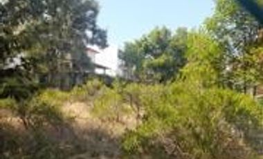 Terreno en Venta Condado de Sayavedra