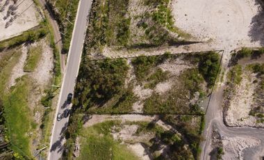 𝐓𝐄𝐑𝐑𝐄𝐍𝐎 𝐃𝐄 𝐎𝐏𝐎𝐑𝐓𝐔𝐍𝐈𝐃𝐀𝐃 𝐄𝐍 𝐋𝐀 𝐕𝐈𝐀 𝐀 𝐃𝐄𝐋𝐄𝐆.