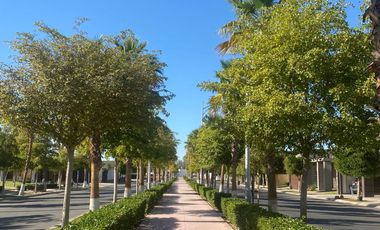 Se Rnta Casa en Duara Residencial