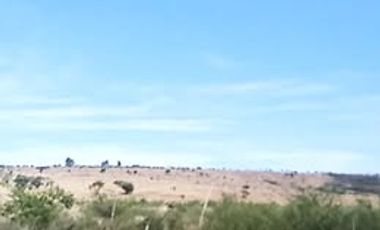 SE RENTA TERRENO EN JUVENTINO ROSAS