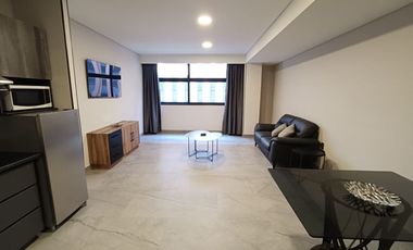Renta de excelente Suite Amueblada en Av. Juárez