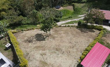 Lote en venta - Circasia