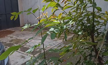 DEPARTAMENTO EN VENTA EN COLONIA MORELOS TOLUCA ESTADO DE MEXICO