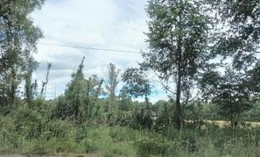 Parcela  a tan solo 13 minutos de Villarrica