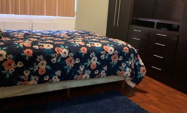 Departamento amueblado EN RENTA en Zona Rio