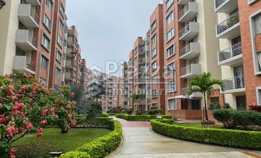 Acogedor Apartamento en Arriendo en el Conjunto Malaca en Ibagué