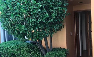 Casa en Venta en San José Insurgentes (Casa con Uso de Suelo)