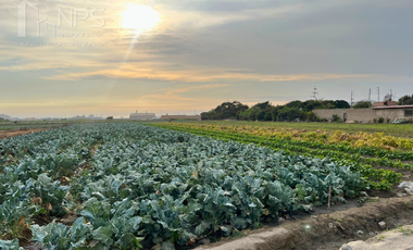 VENDO TERRENO EN CARQUIN - HUACHO