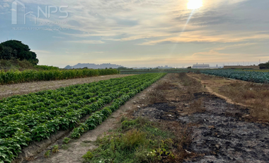 VENDO TERRENO EN CARQUIN - HUACHO