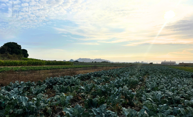 VENDO TERRENO EN CARQUIN - HUACHO