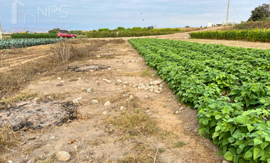 VENDO TERRENO EN CARQUIN - HUACHO