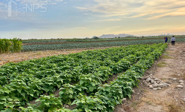 VENDO TERRENO EN CARQUIN - HUACHO
