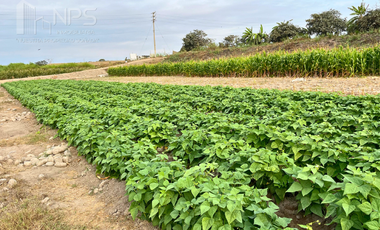 VENDO TERRENO EN CARQUIN - HUACHO