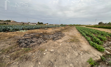 VENDO TERRENO EN CARQUIN - HUACHO