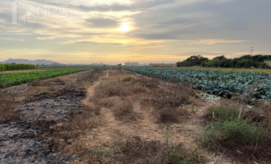 VENDO TERRENO EN CARQUIN - HUACHO