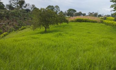 VENTA DE LOTE CAMPESTRE ALCALA