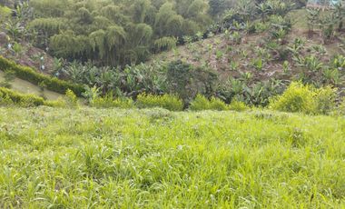 VENTA DE LOTE CAMPESTRE ALCALA