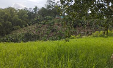 VENTA DE LOTE CAMPESTRE ALCALA