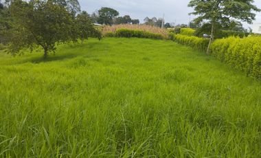 VENTA DE LOTE CAMPESTRE ALCALA