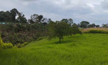 VENTA DE LOTE CAMPESTRE ALCALA