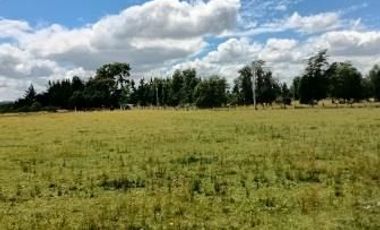 Parcela 5.000 mts2. Sector Vida Nueva Villarrica