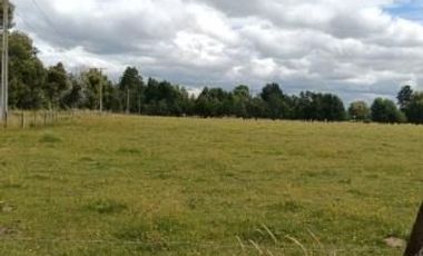 Parcela 5.000 mts2. Sector Vida Nueva Villarrica