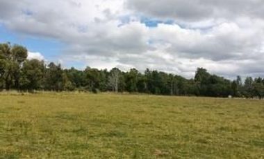 Parcela 5.000 mts2. Sector Vida Nueva Villarrica