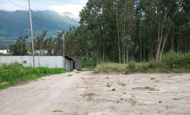 Lotes en Cotacachi