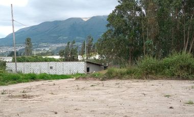 Lotes en Cotacachi