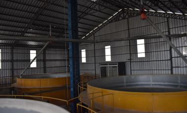 Palenque, Venta de Excelente Planta Comercializadora de Maíz de 1.8 Ha