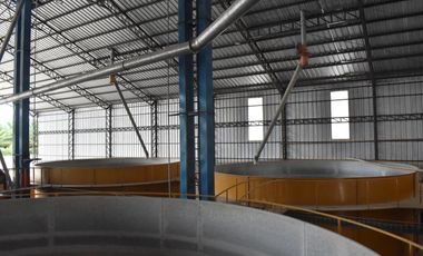 Palenque, Venta de Excelente Planta Comercializadora de Maíz de 1.8 Ha