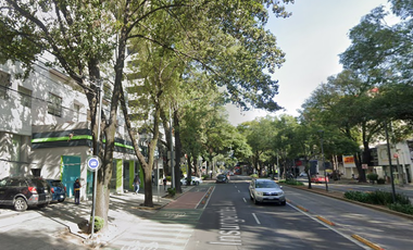 Av. Insurgentes Sur